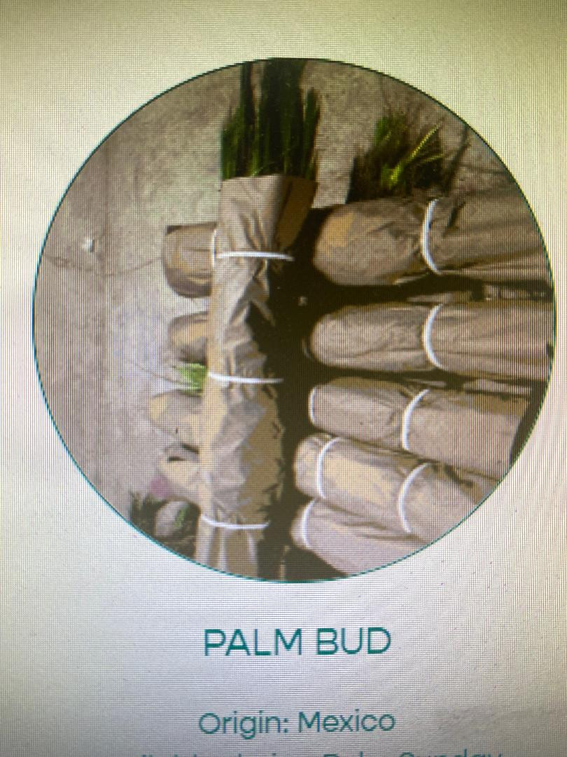Palm Buds are pulled apart to make strips for Palm Sunday. the are roughly 75 strips per palm. case 25