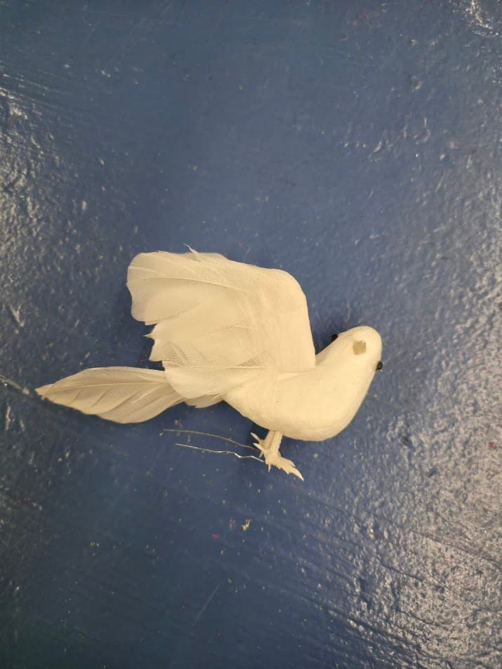 White Dove - Pack of 12