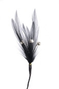 FL1210-BLACK SWAN