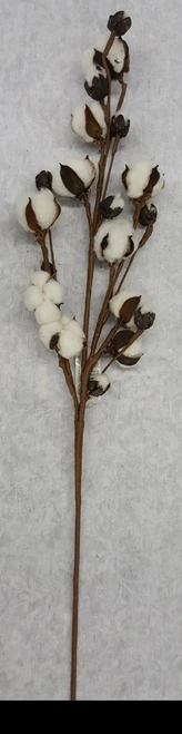 Natural Cotton Spray 