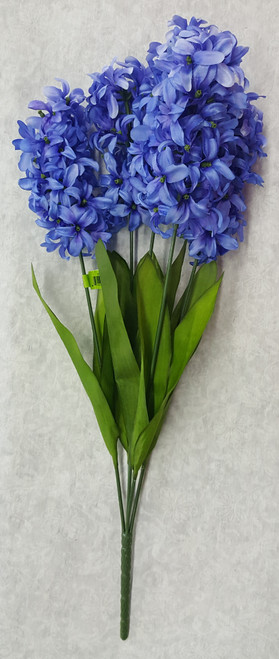 Hyacinth Bush (x 5)