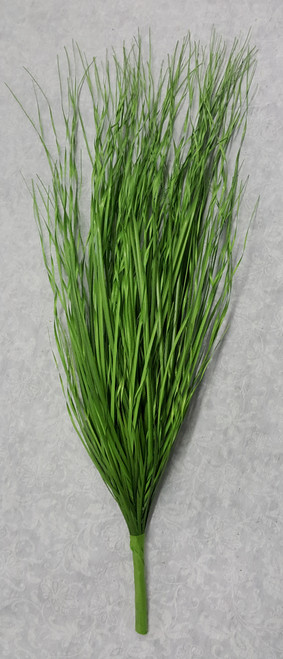 Field Grass Bush