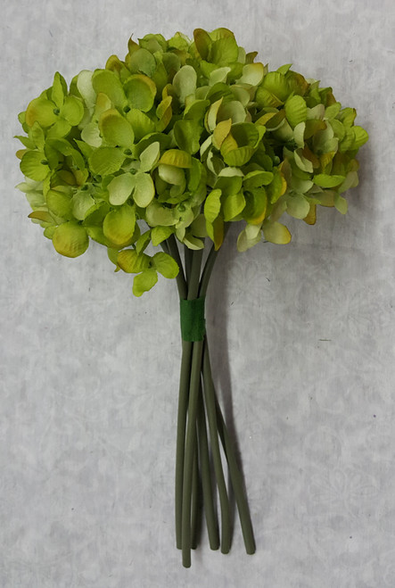 NATURAL GREEN bouquet (x 6)