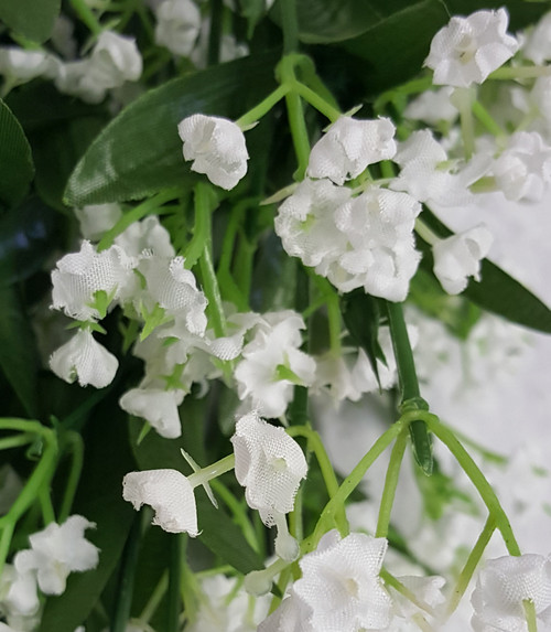 Gypso (Baby's Breath) Bush (x 14)