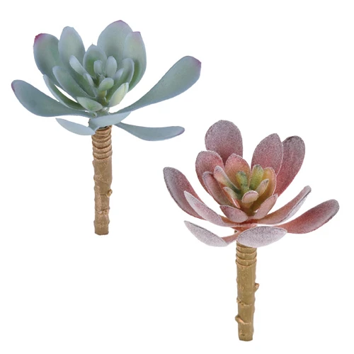 Succulent Pick