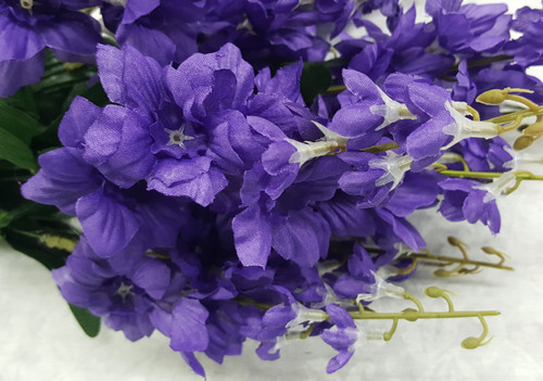 Delphinium Bush (x 11)-purple