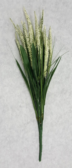 Foxtail Grass Bush