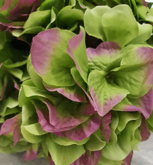 Hydrangea Bush-Green/Lavender