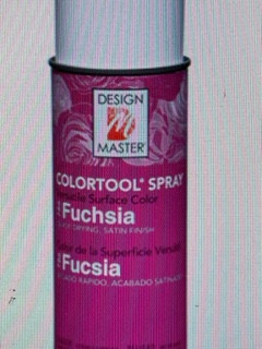 fuchsia spray  