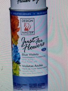 just for flowers blue violets 