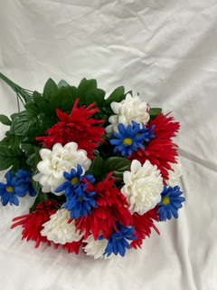 red white and blue daisy bush