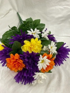 spring melody daisy bush