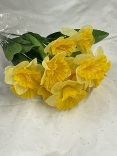 daffodil spring bush 