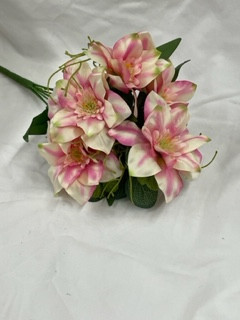 peach clematis/euc bush x7 