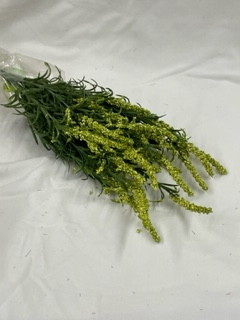 green erica bush x11