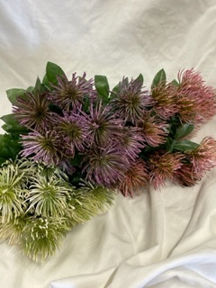 mini spider mum bushx12 (assorted)