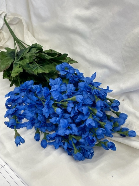 delphinium Bush (Delph Blue)