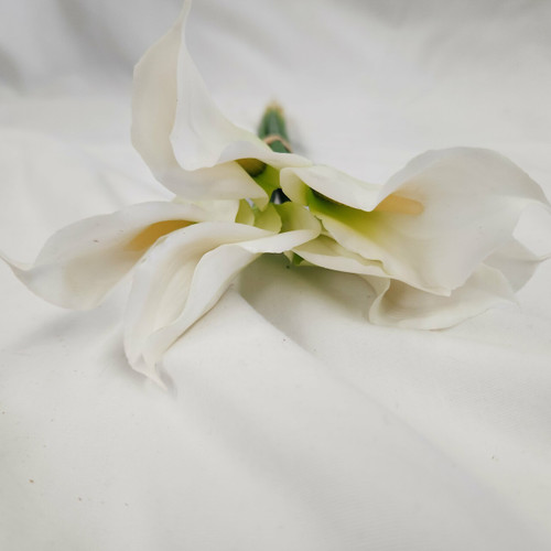 Calla Lily - Bouquet Style - White