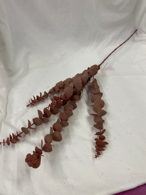 Natural Eucalyptus Branch