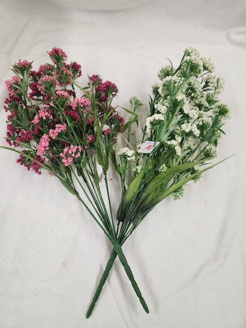 Thistle Ball Bush x12