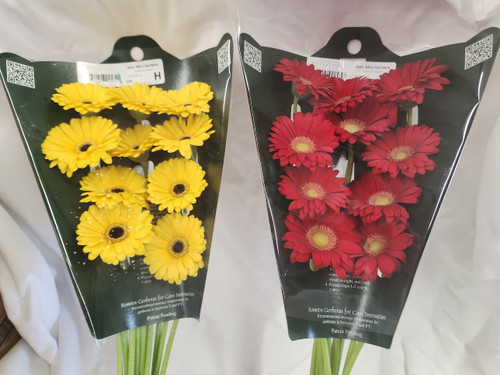 Gerber - Mini - All Colors