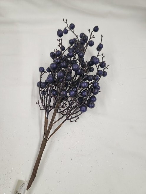 Blue Berry Bush