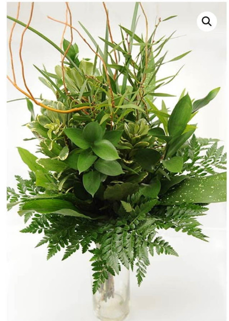 A ready to go bunch of greens:  Israeli ruscus, aspidistra, baker fern , feather eucalyptus, ver pitt., curly willy tips.  20+ stems in the bunch.