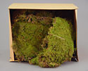 Sheet Moss Green. Clean, First Quality
 
 
Specifications: 
2+ Cubic Foot Carton
