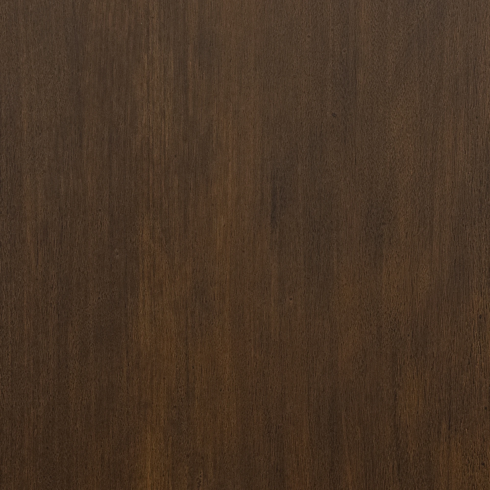 European Oak