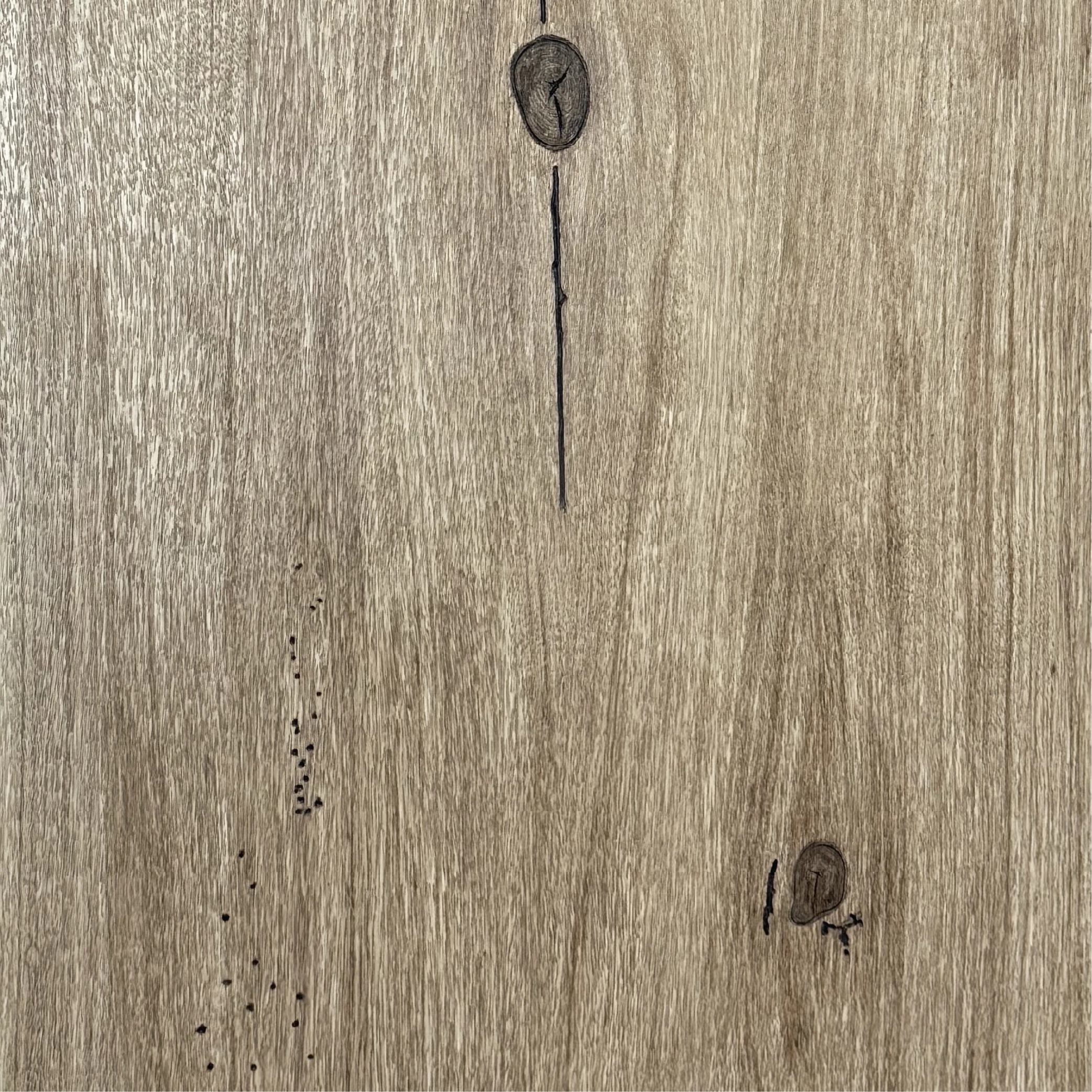 Mountain Knotty Alder
