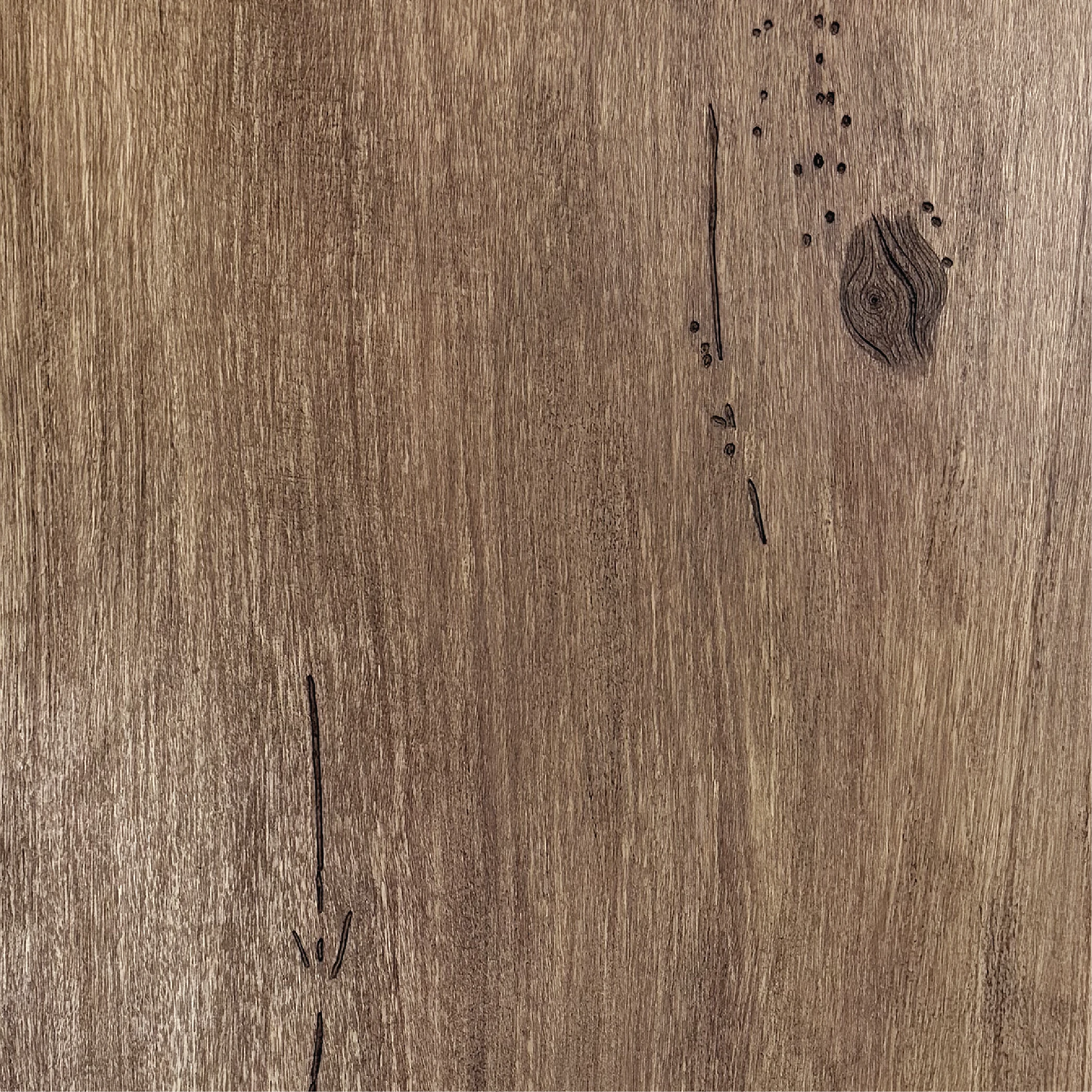 Texas Mesquite