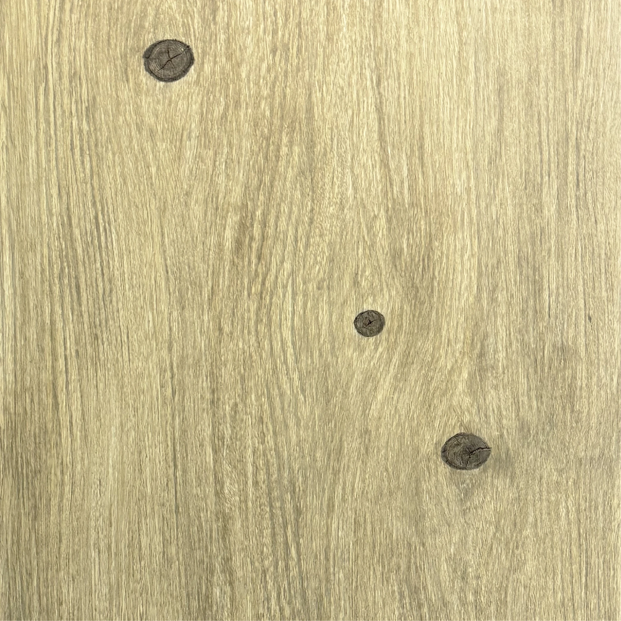 Northern White Oak