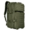 Assault Pack - Olive Drab