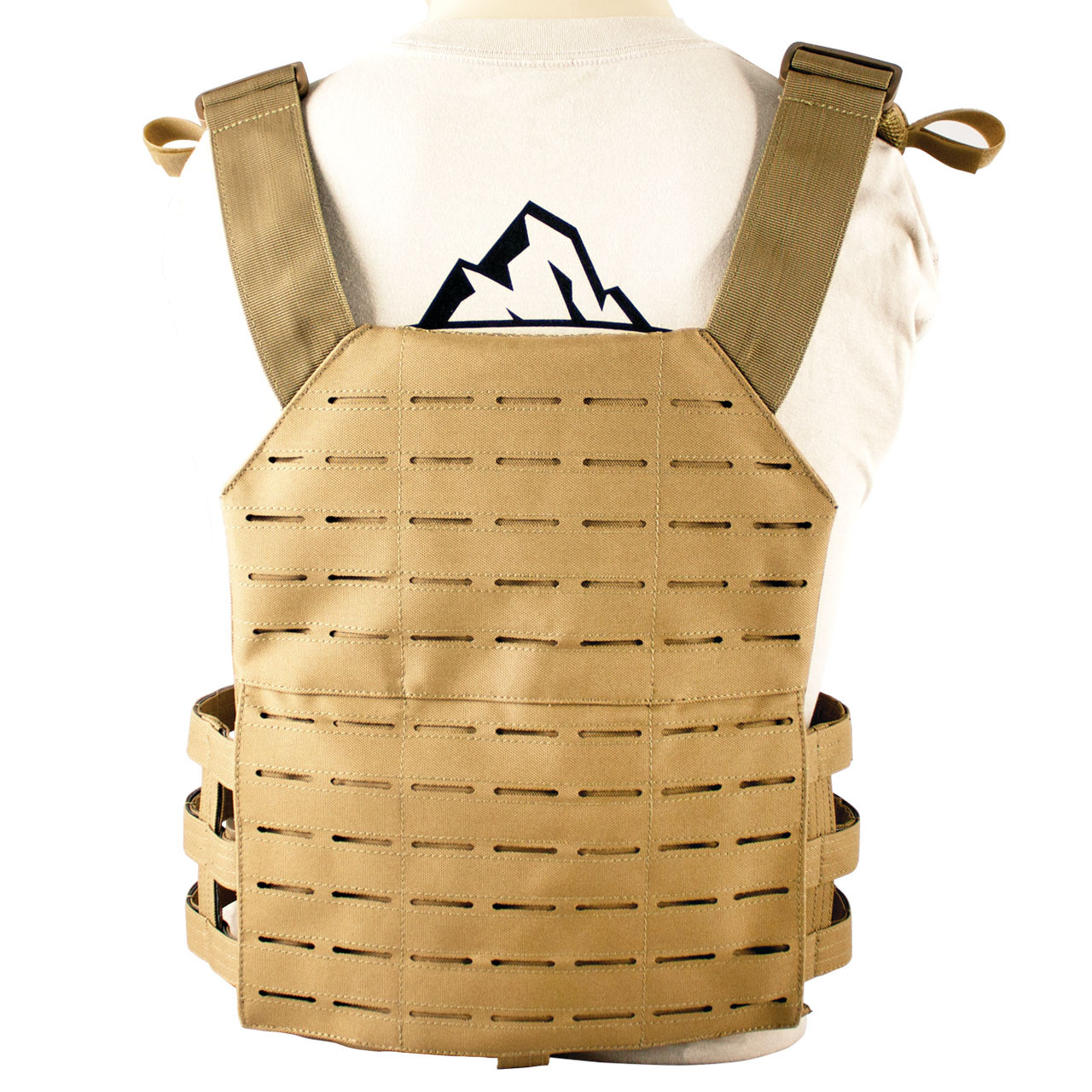 Laser-Cut Plate Carrier