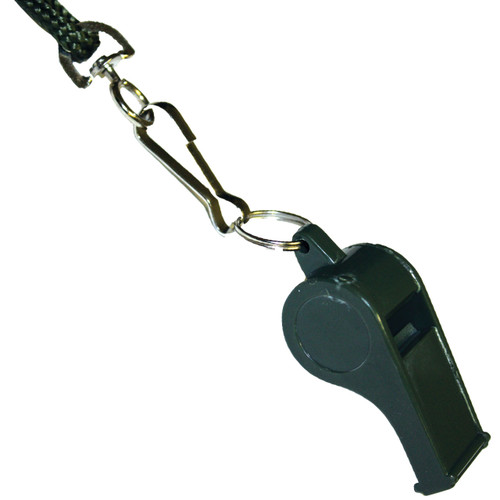 G. I. Whistle
