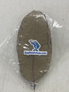 Guava Leaves (10) Guava Leaves (10)