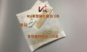 KU germ and Barley tea bags 
