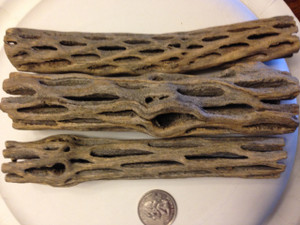 6 inch cholla wood, 3 pieces