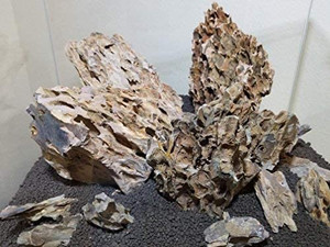 Ohko (Dragon) Stone 15 pounds, shipping included Ohko (Dragon) Stone 15 pounds, shipping included