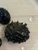 King Koopa Nerite / Durian Snail (Neritina Juttingae)
