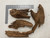 Malaysian Driftwood small 6-10 inches Malaysian Driftwood small 6-10 inches