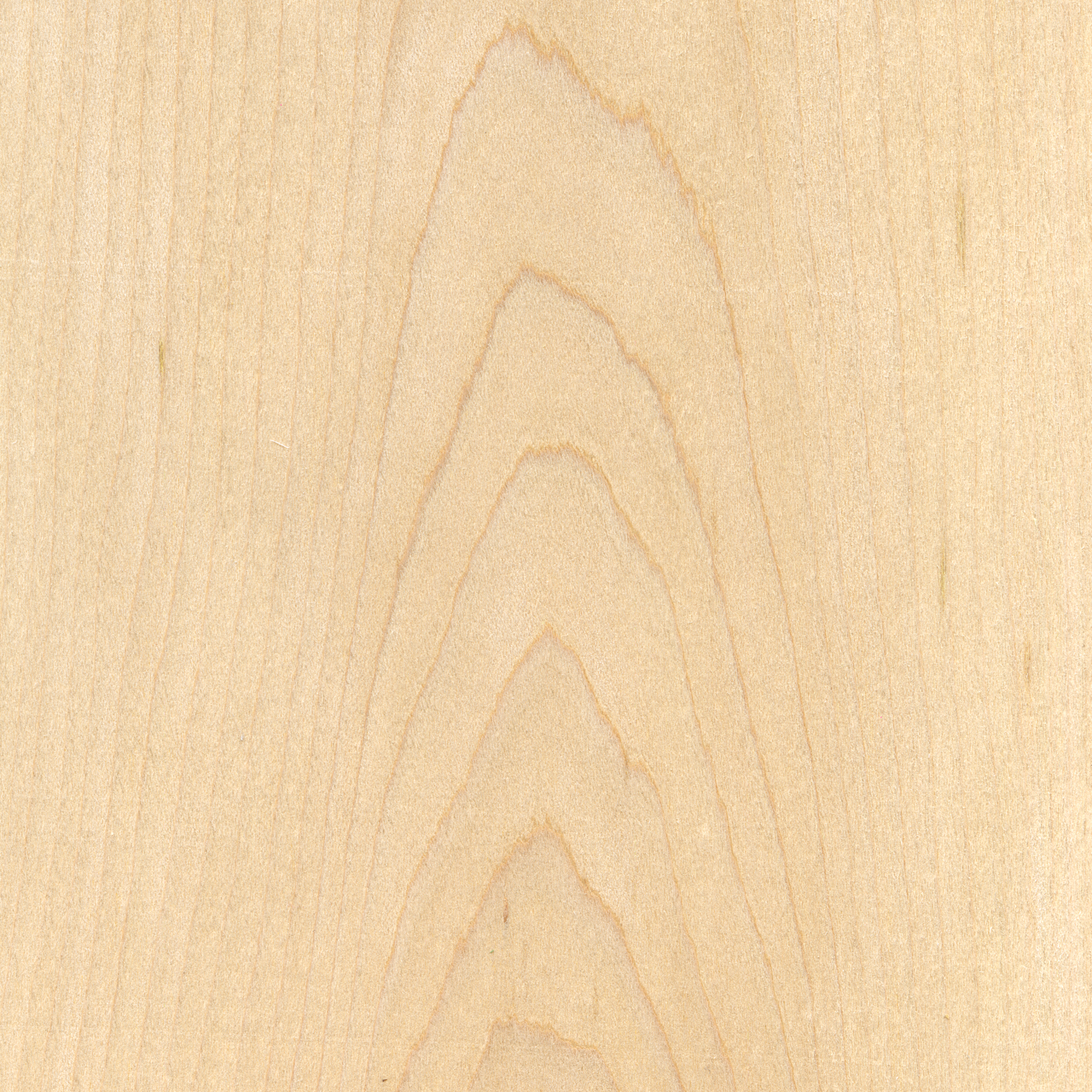 How Noticeable Are The Edge Profiles of Paper Backed  Veneers and Wood Backed Veneers?