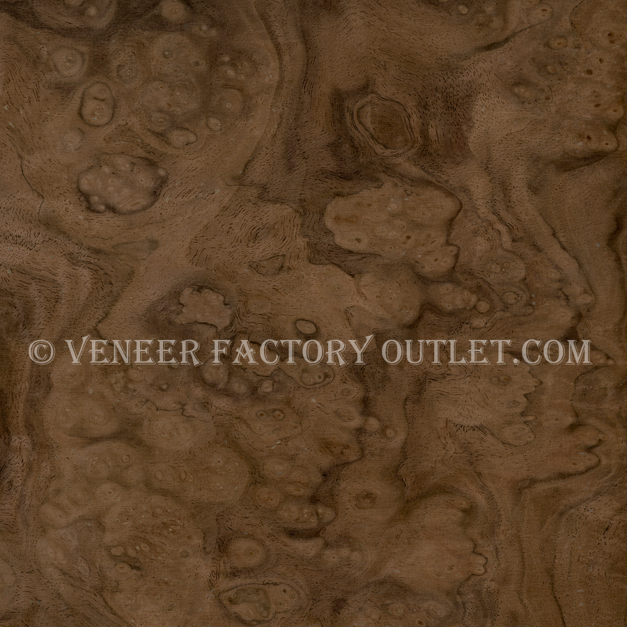 Walnut Burl Veneer Outlet Selling Entire Stock Walnut Burl Veneer