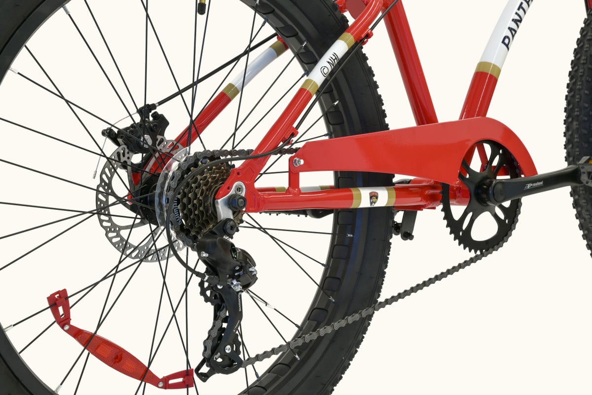 Florida Panthers Bike 7-Speed Big Cruiser 26"