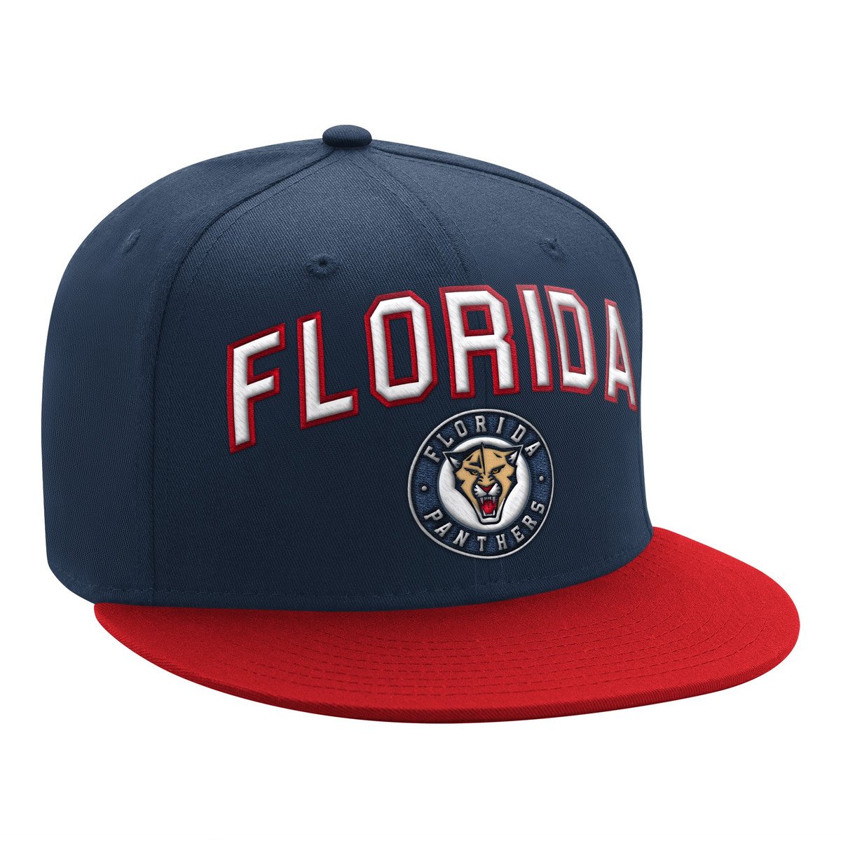Florida Panthers Arch Flat Brim Starter Cap