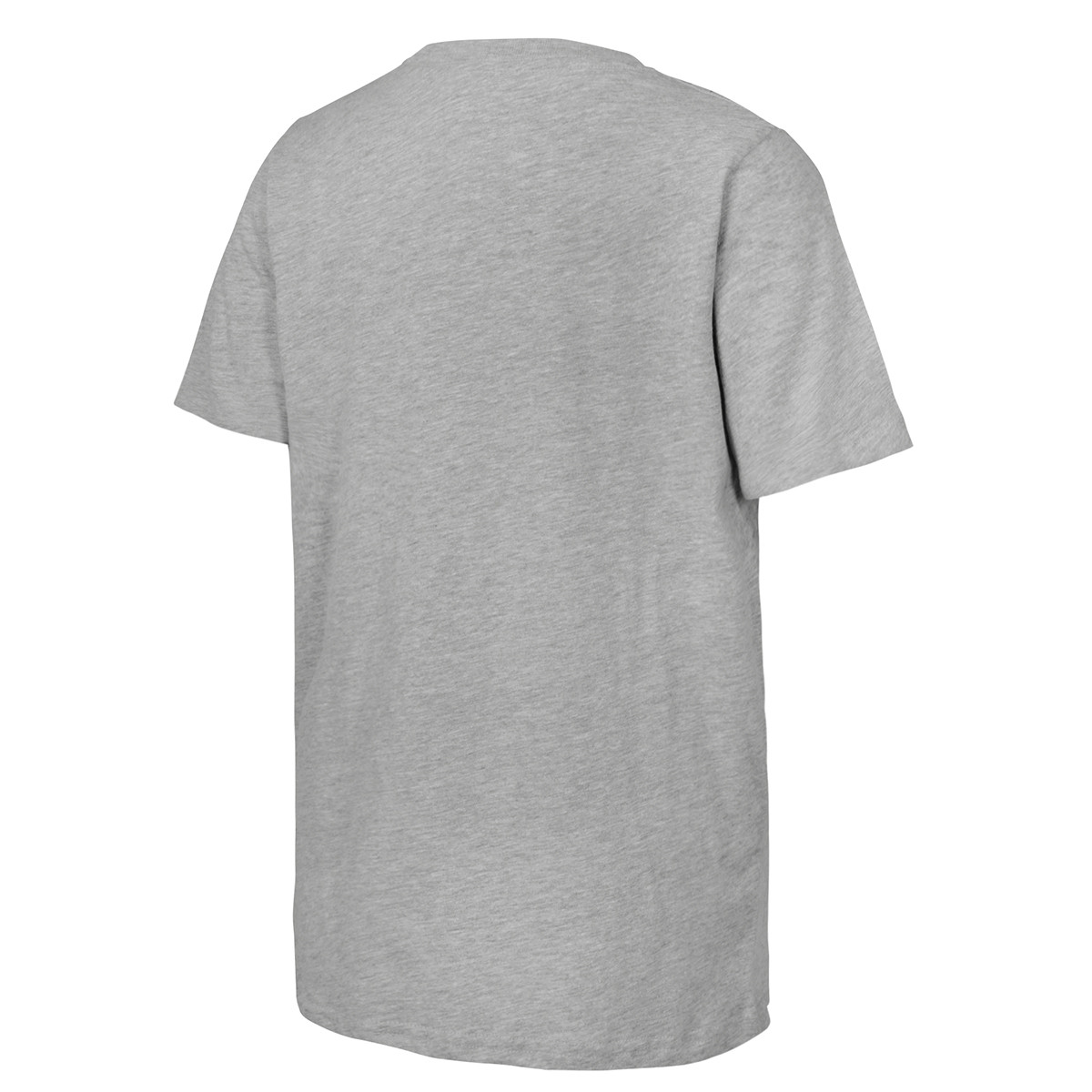 Florida Panthers 2024 Eastern Conference Champs Juvenile T-Shirt