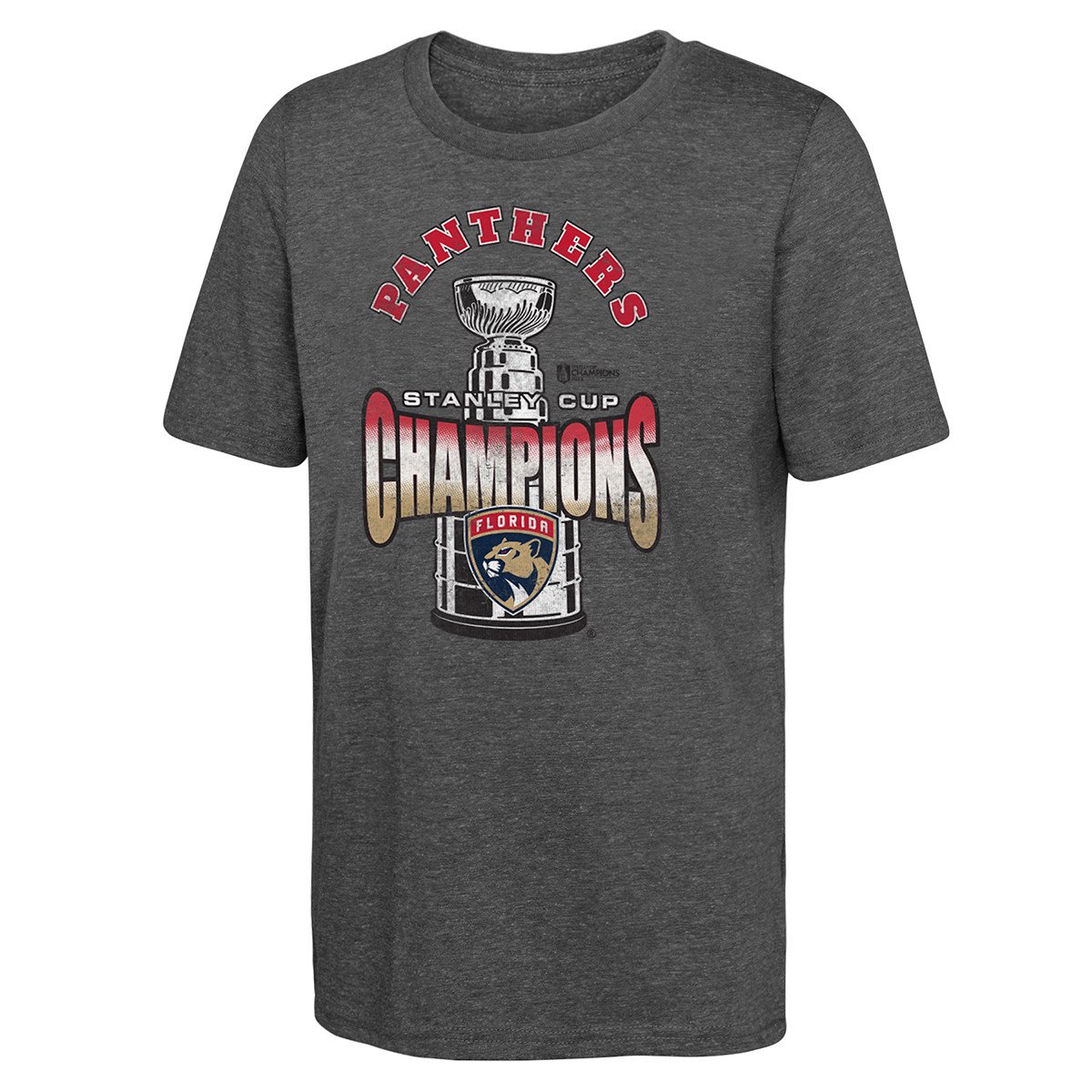 Florida Panthers Youth 2024 Stanley Cup Champions Throwback T-Shirt