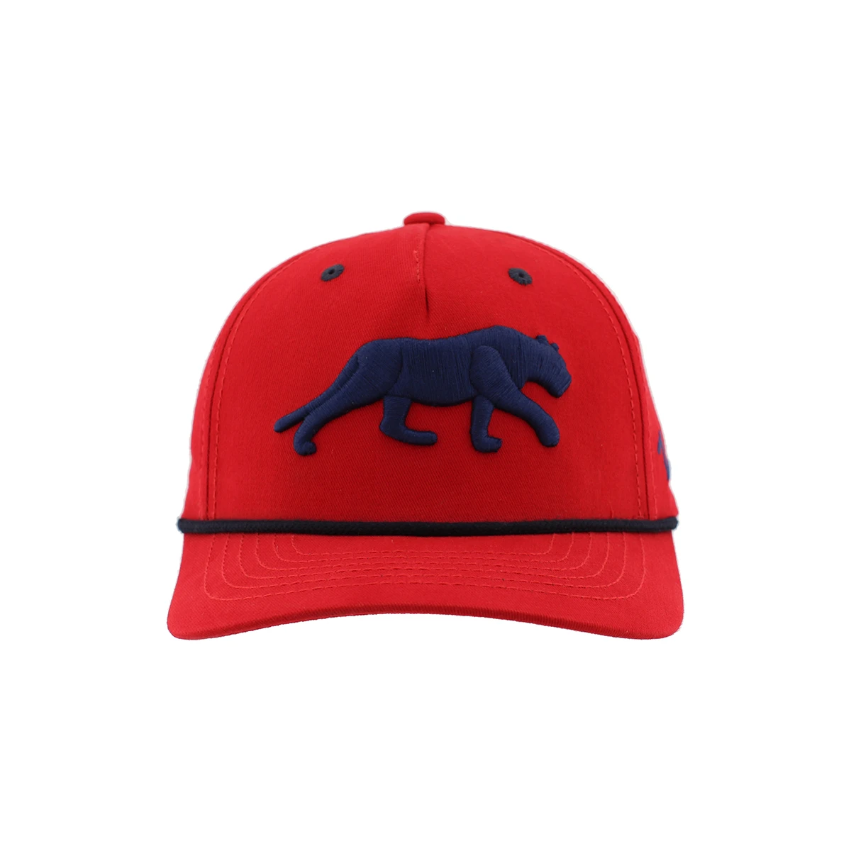 Florida Panthers Memento 3D Panther Cap