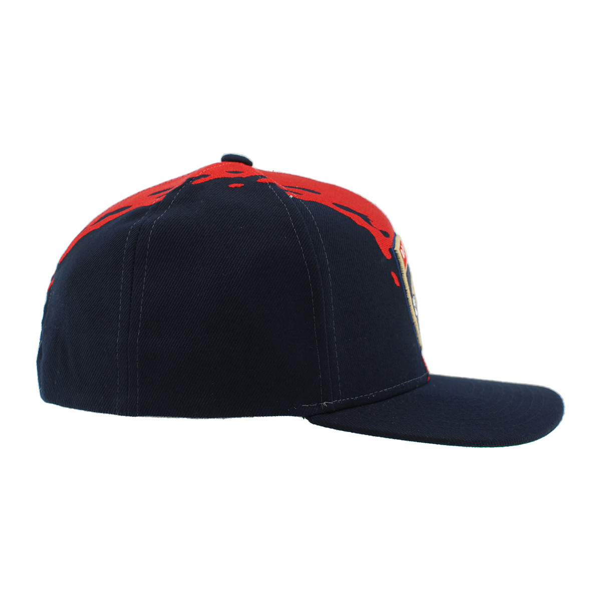 Florida Panthers Z11 Retro Paintbrush Cap