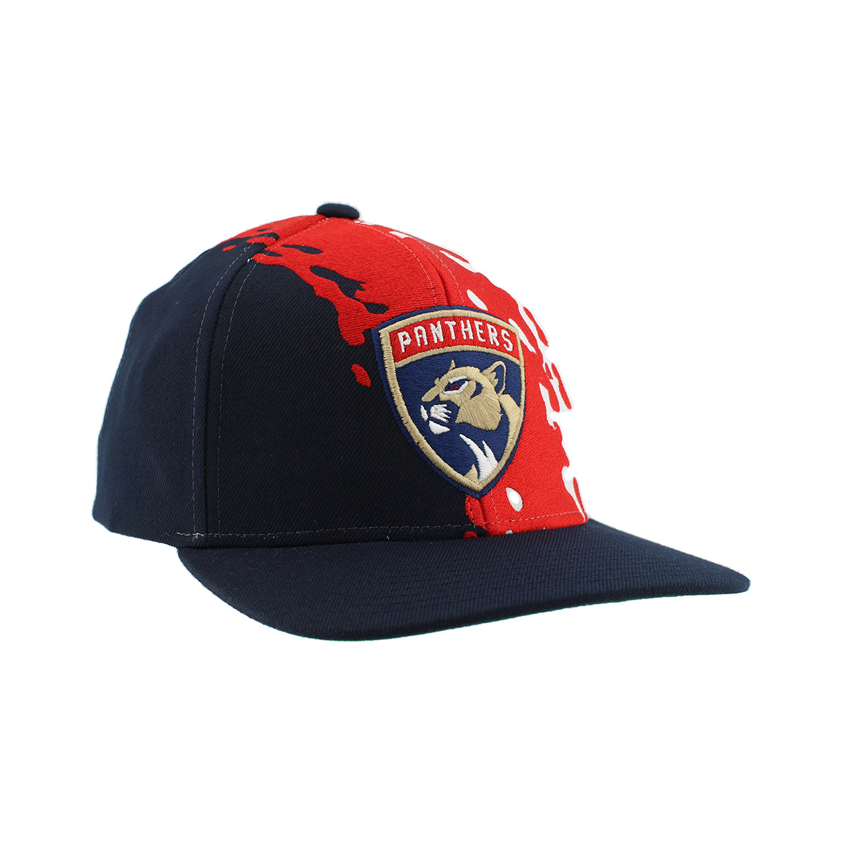 Florida Panthers Z11 Retro Paintbrush Cap